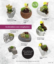 Intratuin folder Pagina 13