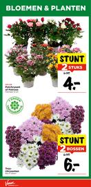 Vomar Voordeelmarkt folder week 42 Pagina 31