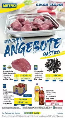METRO Prospekt (gültig bis 19-10)
