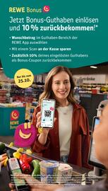 REWE DE tilbudsavis uge 42 Side 3