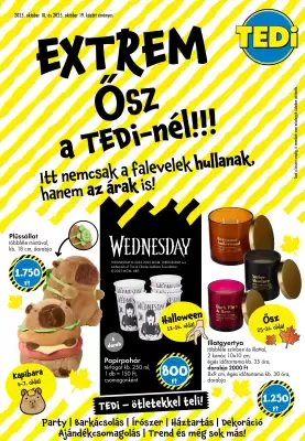 Tedi katalógus (érvényes eddig: 18-10)
