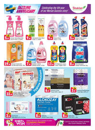 Shaklan leaflet Page 17