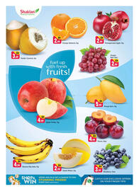 Shaklan leaflet Page 3