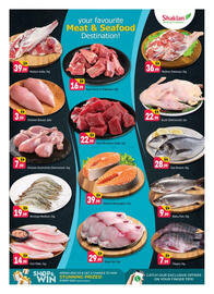 Shaklan leaflet Page 4