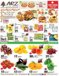 Arz Fine Foods flyer week 41 Page 1