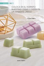 Catálogo Avon Página 53