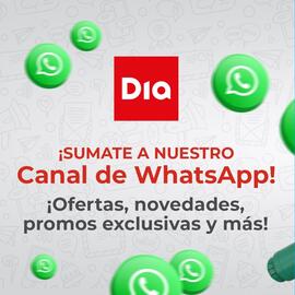 Folleto Supermercados DIA semana 41 Página 3