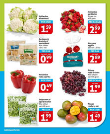 Hoogvliet folder week 42 Pagina 8