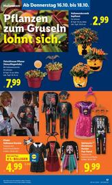 Lidl Flugblatt woche 42 Seite 22