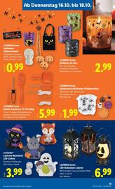 Lidl Flugblatt woche 42 Seite 24