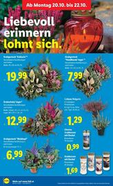 Lidl Flugblatt woche 42 Seite 33