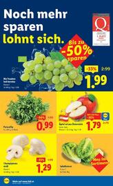Lidl Flugblatt woche 42 Seite 41