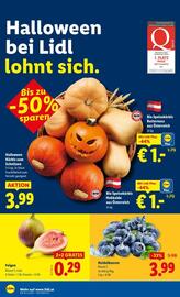 Lidl Flugblatt woche 42 Seite 7