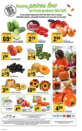 Food Lion weekly ad week 41 Page 8