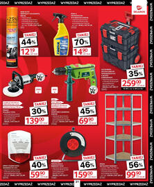 Selgros gazetka Strona 33
