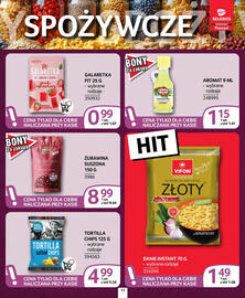 Selgros gazetka Strona 13