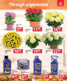 Selgros gazetka Strona 12