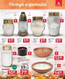 Selgros gazetka Strona 8