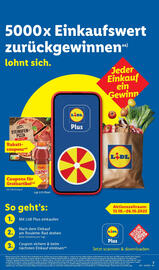 Lidl Prospekt woche 42 Seite 13