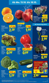 Lidl Prospekt woche 42 Seite 3