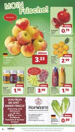 Famila Nord West Prospekt woche 42 Seite 4