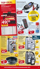 Sonderpreis Baumarkt Prospekt woche 42 Seite 17