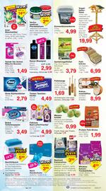 Wiglo Wunderland Prospekt woche 42 Seite 11