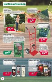 Kiebitzmarkt Prospekt woche 41 Seite 2