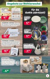 Kiebitzmarkt Prospekt woche 41 Seite 3