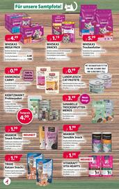 Kiebitzmarkt Prospekt woche 41 Seite 6