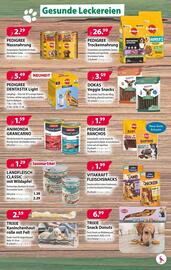 Kiebitzmarkt Prospekt woche 41 Seite 7
