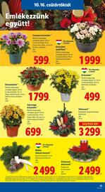 Lidl akciós újság hét 42 Oldal 13