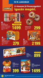Lidl akciós újság hét 42 Oldal 16