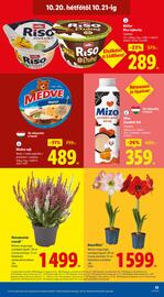 Lidl akciós újság hét 42 Oldal 55