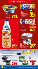 Lidl akciós újság hét 42 Oldal 58