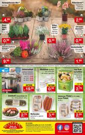 Zimmermann Prospekt woche 42 Seite 10