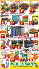 Wreesmann Prospekt woche 42 Seite 12
