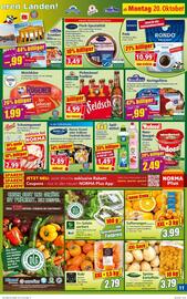 Norma Prospekt woche 43 Seite 11
