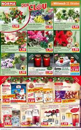 Norma Prospekt woche 43 Seite 12