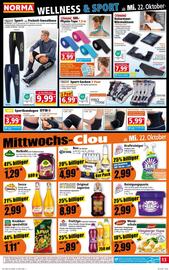 Norma Prospekt woche 43 Seite 13