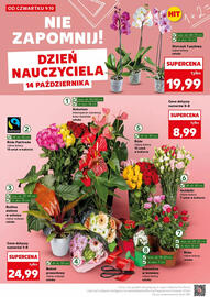 Kaufland gazetka Strona 14