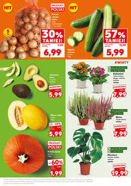 Kaufland gazetka Strona 17