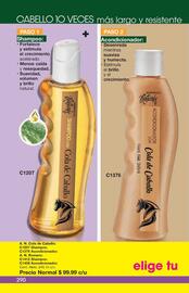 Catálogo Arabela Página 262