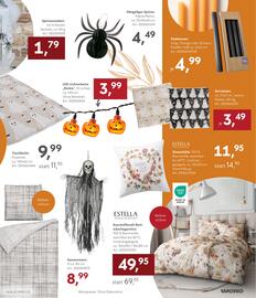 WEKO Katalog Seite 19