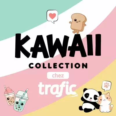 Catalogue Trafic (valable jusqu'au 17-10)