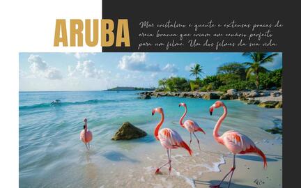 Folheto Solférias Página 102