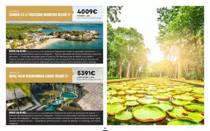 Folheto Solférias Página 73