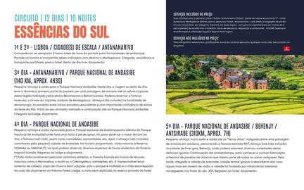 Folheto Solférias Página 84