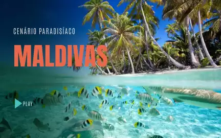 Folheto Solférias Página 4