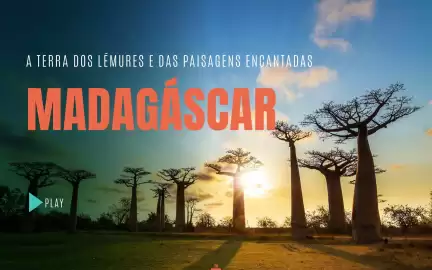 Folheto Solférias Página 79